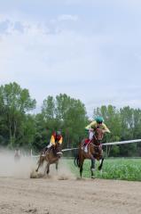 Galopske dirke Obrež 2017 1